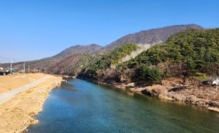 [박경희의 도보기행] 봄 맞이 트레킹 – 양평 산수유 마을과 추읍산 둘레길 