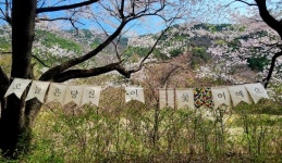 [박경희의 도보기행] 충남 금산 보곡산 자진뱅이길 트레킹