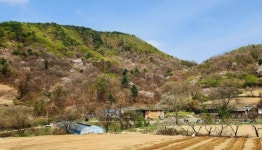 [박경희의 도보기행] 충남 금산 보곡산 자진뱅이길 트레킹