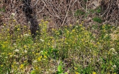 [박경희의 도보기행] 충남 금산 보곡산 자진뱅이길 트레킹