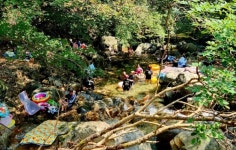 [박경희의 도보기행] 경기 양평 중원계곡...무더위를 날려 버리다