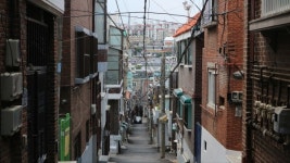 [도시탐험, 성남 이야기1] 남한산성 아랫마을에서 수도권 주요 도시가 된 성남 