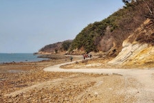 [박경희의 도보기행] 봄맞이 트레킹 – 서해랑길 62코스 보령충청수영성, 천북굴따라길