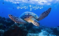 (주)브라운에프엔비 한국조세재정연구원점 | 동원그룹, 동원F&B 100% 자회사 편입..."사업 재정비 완료"
