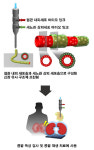 바이오 인공 신장 플랫폼 개발