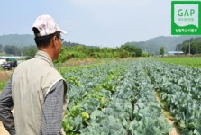 웰시티요양병원 직영농장, GAP 획득