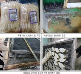 식약처, 식품위생법령 위반 냉장 만두류 제조업체 12곳 적발