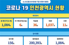 11월 15일 국내 주요 시도별 코로나19 발생 현황은?…신규 확진자 208명, 총 2만 8,546명