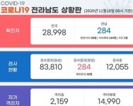 11월 18일 국내 주요 시도별 코로나19 발생 현황은?…신규 확진자 313명, 총 2만 9,311명