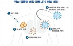 국내 개발 코로나19 ‘SK바이오사이언스 백신, 동화약품 치료제’ 임상 승인…총 22건 진행 중