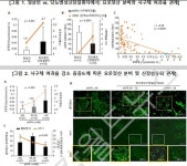 당뇨병성신장질환 발생 조기 예측·진단 새 바이오마커 젖산산증 역할 첫 규명