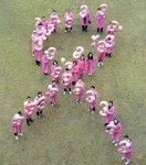 [3월 제약사 이모저모]에스티팜, 한국다케다제약, 한국팜비오, 헤일리온 코리아, 한국MSD 등 소식