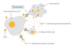 ㈜레코르다티코리아 수입 희귀의약품 ‘콰지바주(디누툭시맙베타)’ 6월 19일 허가