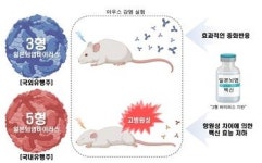 국내 유행 5형 일본뇌염바이러스 특성은? 새로운 백신 개발 필요