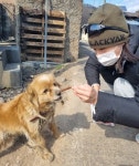 (주)현대그린푸드 제일약품 | 제약사들도 산불 피해 복구 동참…동아, 제일, 한미약품, 녹십자수의약품 등