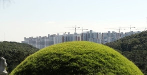 [WIKI 인사이드] 뿔난 왕릉뷰 아파트 수분양자들 문화재청 고발…대방건설도 법적 대응 비화