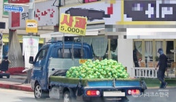 [포토] 청사과가 나오면?…가을