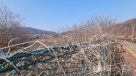 [현장에서] 그냥 풀숲인데…영종도 한신더휴A41, 상반기 인·허가받고 착공할까?