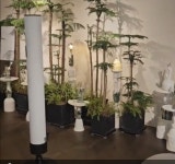  무케렌시아, 서초동 애드아스트라 명상클래스 VIP세션 큰 호응
