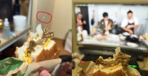 [WIKI 제보] 이물질 달라던 버거킹, 증거물 전달하자 잃어버렸다 황당