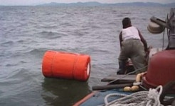 [WIKI 사건] 반성없던 보성 어부 최고령 사형수, 결국 늙어 죽어…사형제 논란 지속
