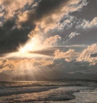 [WIKI 헬스] 새해 건강, 거창한 결심보다 생활 습관이 몸을 만든다