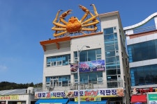 아름답고 푸른 동해를 바라보며 대게찜으로 풍성한 한끼까지 대포항 맛집 ‘대포대게’