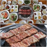 당일치기 여행으로 추천하는 포천의포천이동갈비맛집 바위섬가든