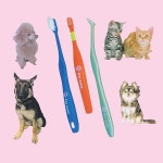 반려동물 구강케어 전문기업 펫나노/우진테크 2018 서울펫쇼 참가