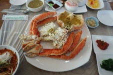 속초가볼만한곳 찾는다면...동명항맛집 비치대게직판장 게를 먹으면 활어회가 서비스