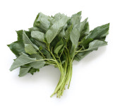 채소의 왕이라 불리는 ‘아욱’, 효능과 손질법은?