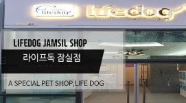 잠실, 강남 애견분양브랜드 라이프독 잠실점, 세심한 자견 케어와 고객 감동 위한 라이프케어, 메디케어 혜택 제공