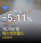 (에스엔피월드정보) 주가 -5.11% 16,700원