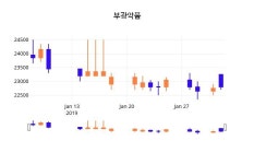 (부광약품정보) 주가 1.32% 23,100원