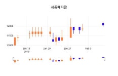 (세종메디칼정보) 주가 -1.65% 11,950원