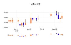 (세종메디칼정보) 주가 0.41% 12,200원
