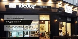 인천애견분양 라이프독 인천 본점, 안락하고 쾌적한 매장 구조로 건강한 자견 만나볼 수 있어