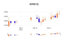 (세종메디칼정보) 주가 1.17% 12,950원