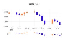 (명성티엔에스정보) 주가 1.36% 18,600원