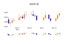 (세종메디칼정보) 주가 2.33% 13,200원