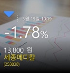 (세종메디칼정보) 주가 -1.78% 13,800원