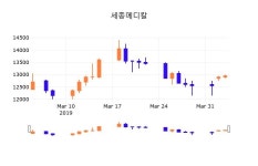 (세종메디칼정보) 주가 1.93% 13,200원