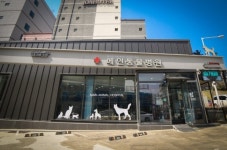 청주 오창메인동물병원 예방접종,피부진료 등 다양한 진료