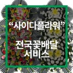 근조축하화환 개업화분전문 사이다플라워 전국꽃배달서비스 개시