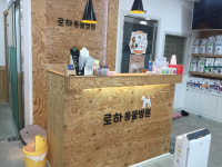 광주 상무지구에 위치한 로하동물병원, 체계적인 검진장비를 통해 섬세한 치료가 가능해