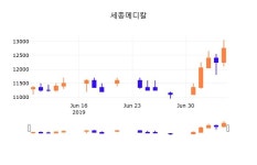 8일 (세종메디칼정보) 주가 -0.39% 12,700원