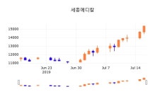 17일 (세종메디칼정보) 주가 -0.33% 15,300원