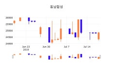 19일 (동남합성정보) 주가 4.63% 26,000원