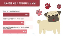 CDC, 반려동물 매장의 강아지에서 약물 내성 감염증 발병 경고