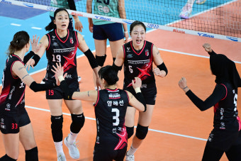 부키리치 부상에도...'전다빈' 등장한 정관장, GS 상대 셧아웃 승리[스파이크노트]